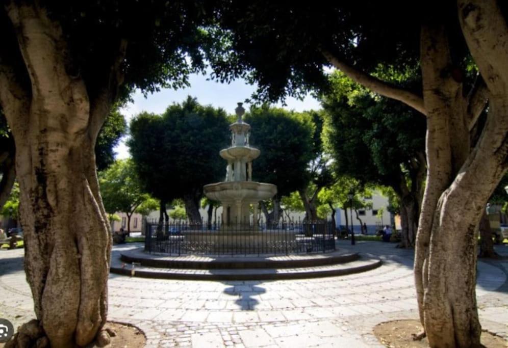 4 La Laguna, Centrico Y Acogedor La Laguna  Zewnętrze zdjęcie
